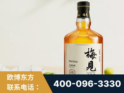 长春-梅见青梅酒